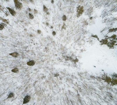 Image shows a drone photo overlooking a snowy forest with two people hiking, partaking in one of many incredible Whiteshell winter activities.