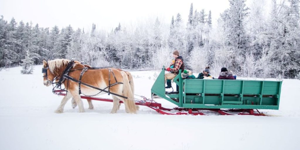 Image shows Falcon Beach Ranch's horse drawn sleigh experience.