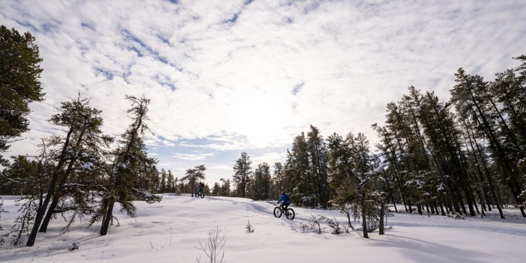 Image shows two people fat biking.